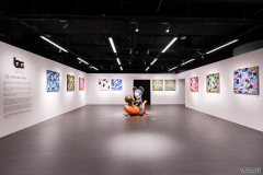 BAPE GALLERY™北京展览呈献全新艺术画  艺